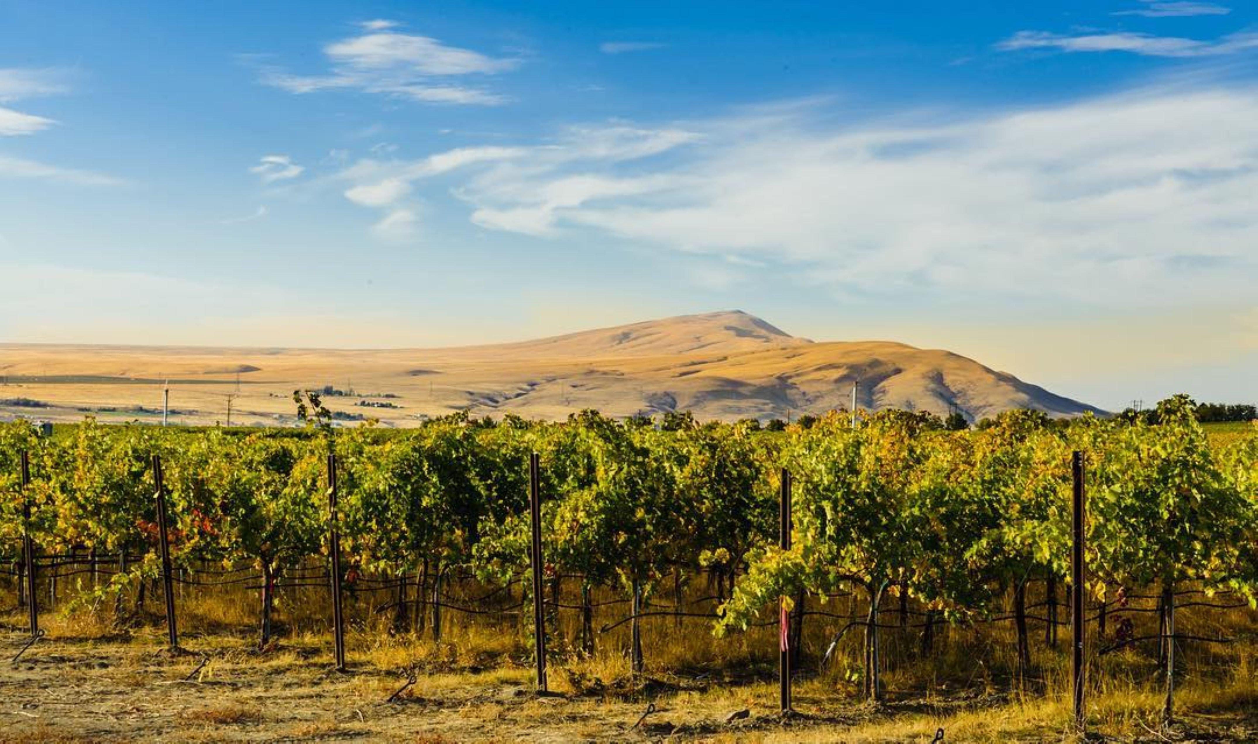 Holiday Inn Express & Suites - Union Gap - Yakima Area By Ihg Eksteriør billede